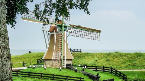 44 miljoen euro nodig voor herstel Noord-Hollandse natuur