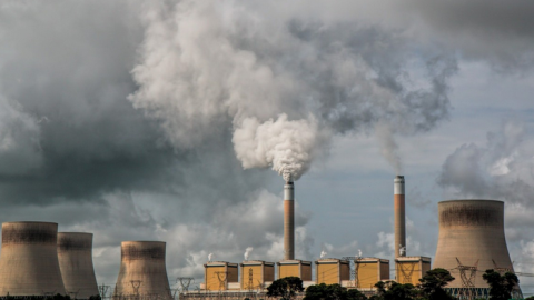 Greenpeace wil rechtszaak als oplossing stikstofprobleem uitblijft