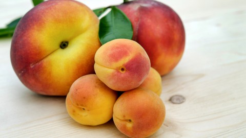 Abrikozentijd, een heel gezond klein stukje fruit
