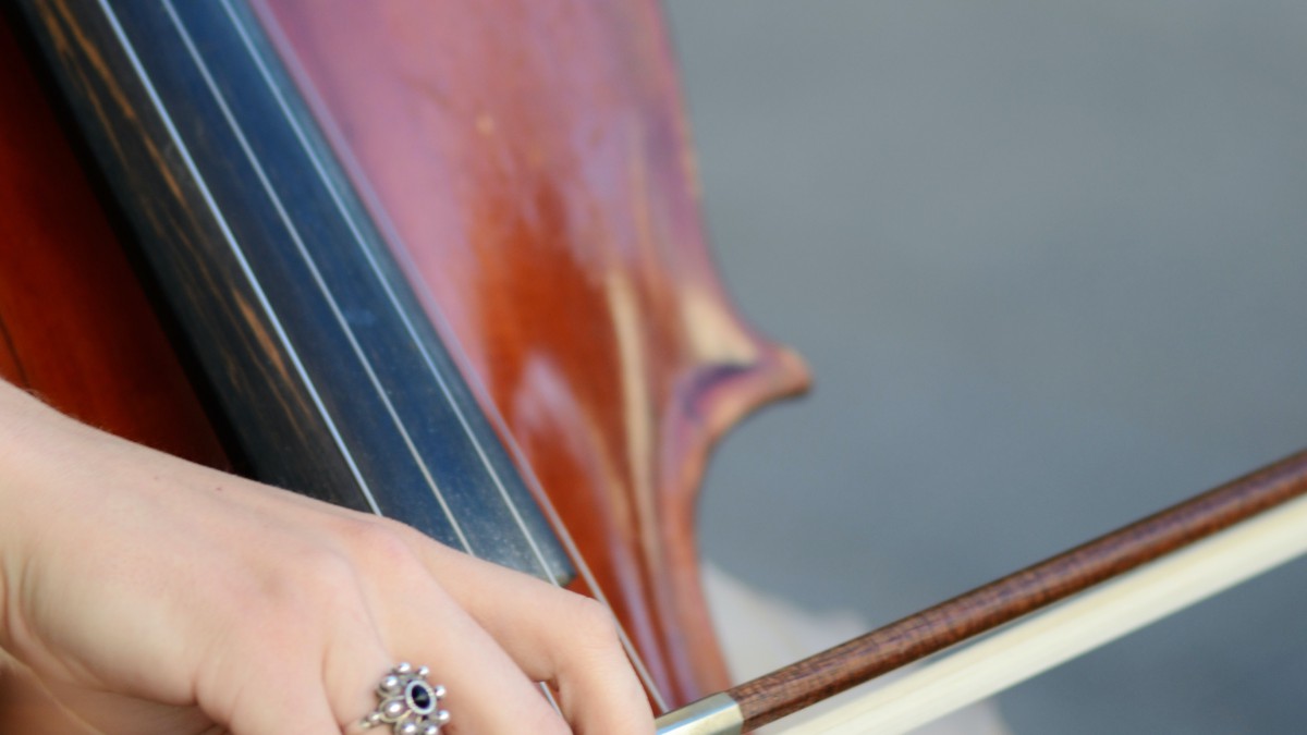 Café des Chansons in theater Het Park in Hoorn